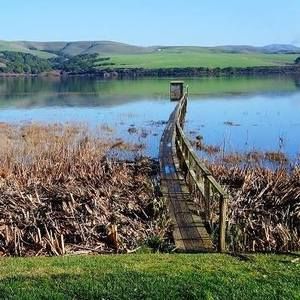 Meet your Posher, Janice